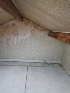 Programme immobilier neuf de 1 lot à Lyon (69008)