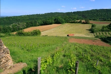 New real estate development of 12 units in Saint-Romain-au-Mont-d'Or (69270)