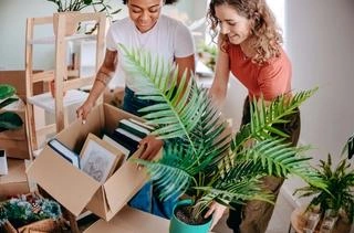 Programme immobilier neuf de 19 lots à Le Taillan-Médoc (33320)