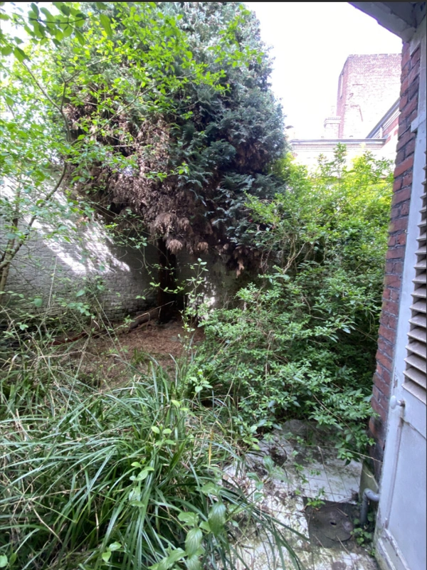 Programme immobilier neuf de 1 lot à Lille (59000)