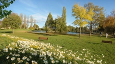 Programme immobilier neuf de 7 lots à Garons (30128)
