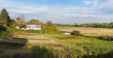 Programme immobilier neuf de 3 lots à Le Mesnil-le-Roi (78600)