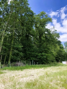 Programme immobilier neuf de 5 lots à Avensan (33480)