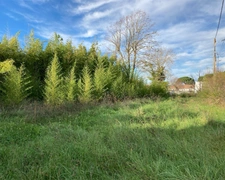 Programme immobilier neuf de 7 lots à Gujan-Mestras (33470)