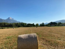 Programme immobilier neuf de 7 lots à Domène (38420)