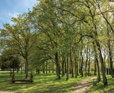 Programme immobilier neuf de 14 lots à Pont-Péan (35131)