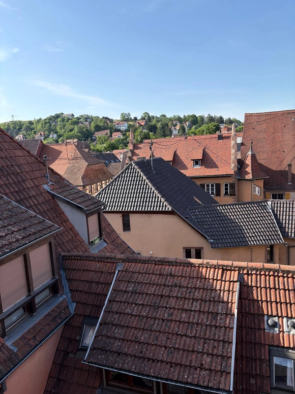 Programme immobilier neuf de 11 lots à Obernai (67210)