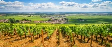 Corneilhan : Charme Rural et Authenticité