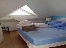 New real estate development of 1 unit in Sainte-Luce (97228)