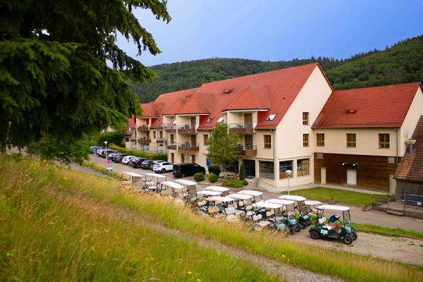 Programme immobilier neuf de 1 lot à Ammerschwihr (68770)