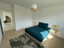Programme immobilier neuf de 1 lot à Auzeville-Tolosane (31320)