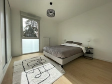 New real estate development of 1 unit in Pompertuzat (31450)