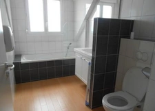 New real estate development of 5 units in Bollwiller (68540)