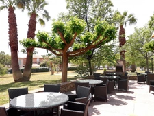 New real estate development of 1 unit in Saint-Cyr-sur-Mer (83270)