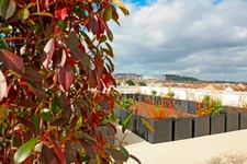 New real estate development of 1 unit in Argenteuil (95100)