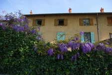 New real estate development of 1 unit in Neuville-sur-Saône (69250)