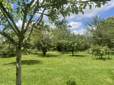 Dpt Yonne (89), à vendre ARCES DILO maison 4 chambres sur 2500 m² 