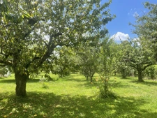 Dpt Yonne (89), à vendre ARCES DILO maison 4 chambres sur 2500 m² 