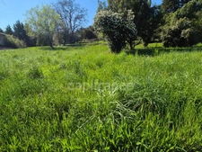 Terrain à vendre Vezenobres