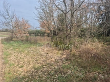 Terrain à vendre Vezenobres