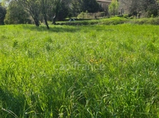 Terrain à vendre de 650,00 m² CASSAGNOLES (30)