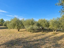 Maison à vendre 4 pièces VEZENOBRES (30)