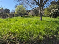 Terrain à vendre de 650,00 m² CASSAGNOLES (30)