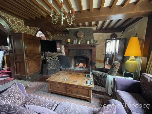 Propriete à vendre 10 pièces  (60)