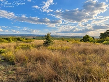 A VENDRE - Terrain Agricole, 10097m² - CORNEILHAN (34)