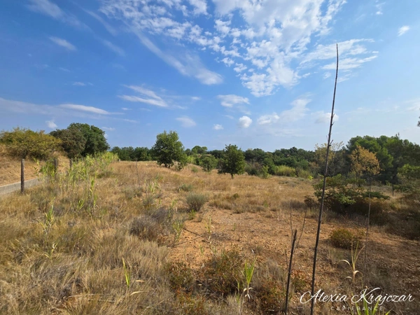 A VENDRE - Terrain Agricole, 4764m² - CORNEILHAN (34)