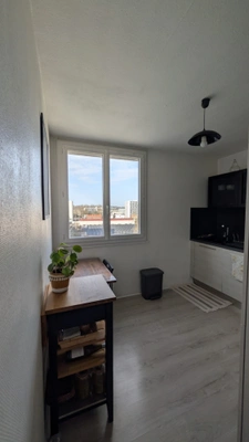 Appartement à vendre 4 pièces VILLEURBANNE (69 ) Limite Lyon 6