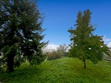 House for sale, 4 rooms, AUNAY EN BAZOIS (58)