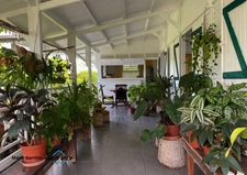 Maison à vendre 6 pièces SAINT FRANCOIS (971)