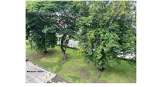 Appartement à vendre 4 pièces LES ABYMES (971)