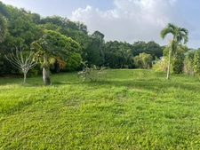 Maison à vendre 3 pièces GOYAVE (971)