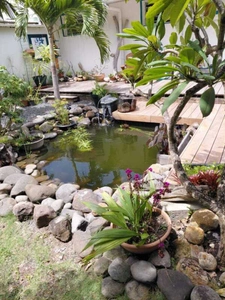 Maison à vendre 6 pièces SAINT FRANCOIS (971)