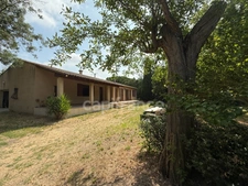 Maison familiale de Plain-pied - 4 Chambres - Terrain plat arboré de 2000 m2.