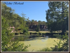 Propriété de caractère 3 ch- piscine - Gîtes 3 ch- terrain clos Plus de 1,5 hectare - Aux portes de la Sologne-Langesse45