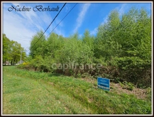 Terrain à vendre boisé CU OK ERVAUVILLE (45) 3921 m² 47 m de façade en zone UC