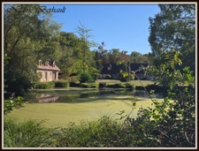 Propriété de caractère 3 ch- piscine - Gîtes 3 ch- terrain clos Plus de 1,5 hectare - Aux portes de la Sologne-Langesse45