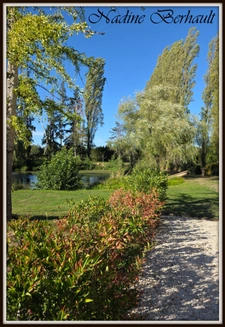 Propriété de caractère 3 ch- piscine - Gîtes 3 ch- terrain clos Plus de 1,5 hectare - Aux portes de la Sologne-Langesse45