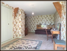 Maison à vendre maison bourgeoise, beaux volumes, 2 chambres plain-pied, 2 ch possible étage. terrain sans vis à vis, PUISEAUX (45)