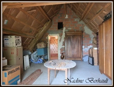 Maison à vendre maison bourgeoise, beaux volumes, 2 chambres plain-pied, 2 ch possible étage. terrain sans vis à vis, PUISEAUX (45)