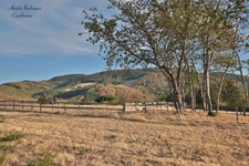 Terrain à vendre  SERRIERES (71)