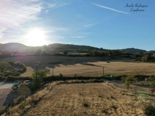 Terrain à vendre  SERRIERES (71)