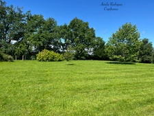 Dpt Ain (01), à vendre proche de CHATILLON SUR CHALARONNE terrain - Terrain de 826,00 m²