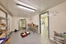 Dpt Saône et Loire (71), for sale CRECHES SUR SAONE house P5 of 163 m² - Land of 2,181.00 m² 
