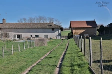 Maison à vendre 4 pièces SAINT ANDRE DE BAGE (01)