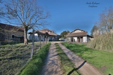 Maison à vendre 4 pièces SAINT ANDRE DE BAGE (01)