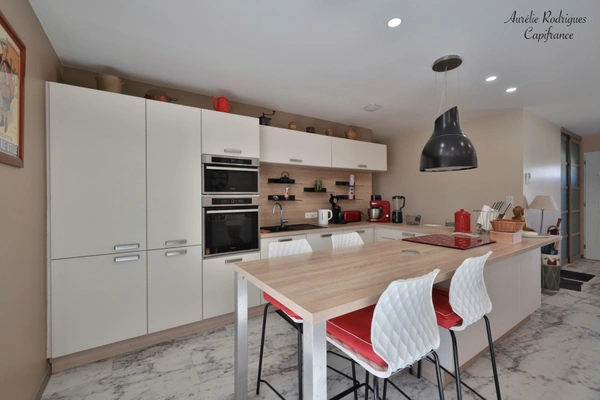 Maison à vendre 6 pièces FEILLENS (01)